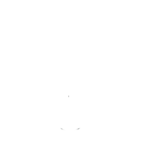 Nordlichter Messe
